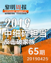 中细碎担当：反击破家族-今年会周报65期