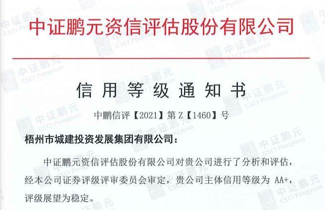 喜报！市小新专属集团首次主体信用评级喜获AA+