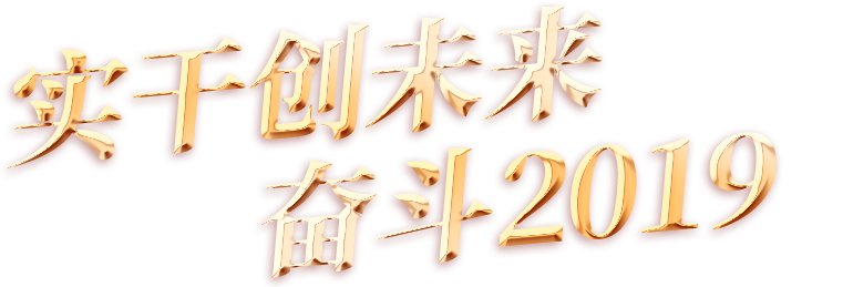 实干创未来 奋斗2019